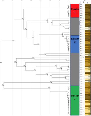 A New Tool for Analyses of Whole Genome Sequences Reveals Dissemination of Specific Strains of Vancomycin-Resistant Enterococcus faecium in a Hospital